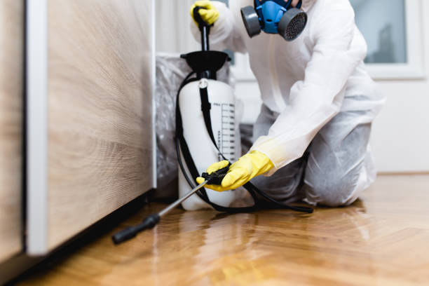 Best Pest Removal Services  in Summit, AZ