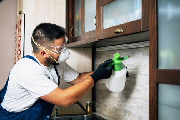 Best Best Pest Control Companies  in Summit, AZ