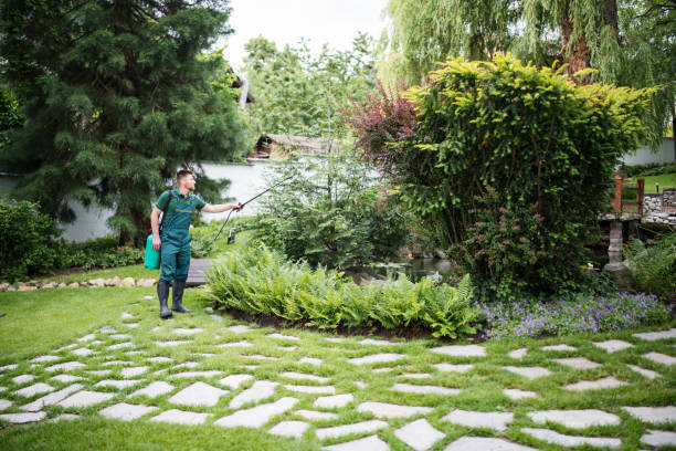 Reliable Summit, AZ Pest Control Solutions