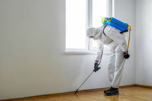 Best Pest Removal Services  in Summit, AZ